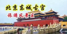 鸡巴操女人逼网站中国北京-东城古宫旅游风景区