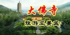 插进去摸下面黄色网站中国浙江-新昌大佛寺旅游风景区